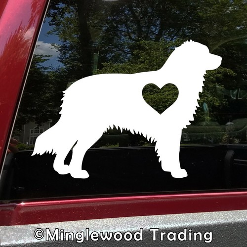 Adesivo australian shepherd - australian,