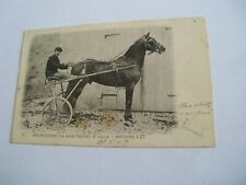 Sport corso cavalli Arlecchino Da Van Tassel e Lola - spedita f. p. 