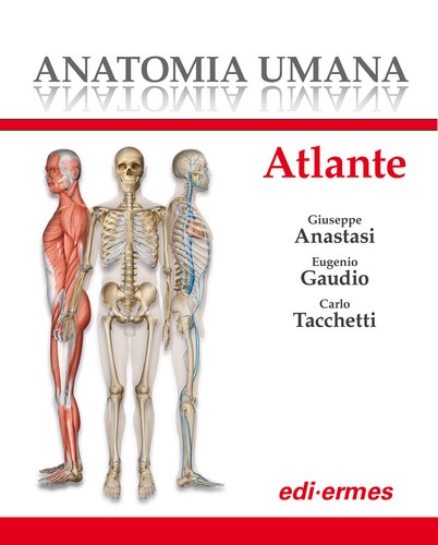 Anatomia umana atlante - anatomia,