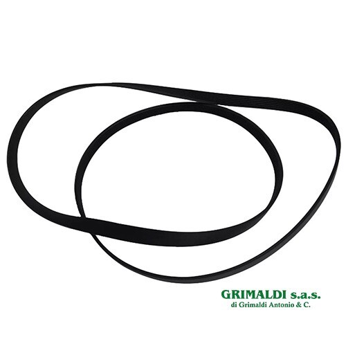 Cinghia elastica 1258j4el per - cinghia,