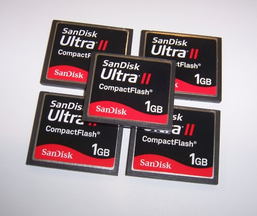 Schede compactflash sandisk - schede,