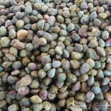 1kg capperi Siciliani sotto