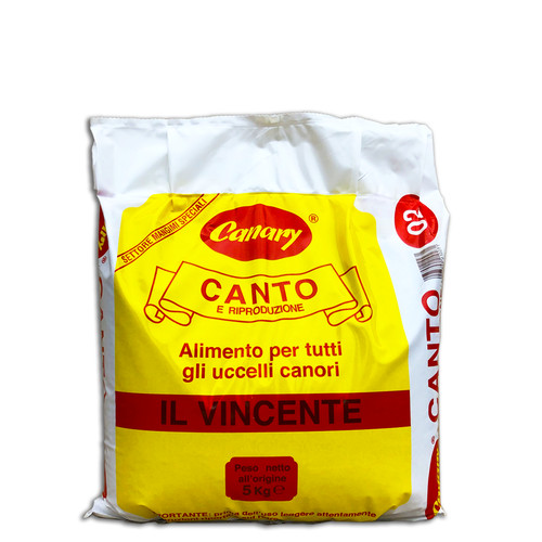Canary canto riproduzione il - canto,