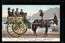 Cartolina Palermo, Carro