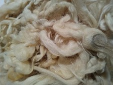 1 Kg Lana di pecora grezza naturale da imbottiture materassi e cuscini