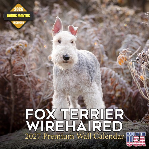 Calendario fox terrier 2027 - calendario,