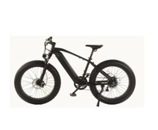 Bicicletta elettrica All