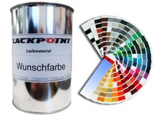 1 Litro Pronta da Spruzzare