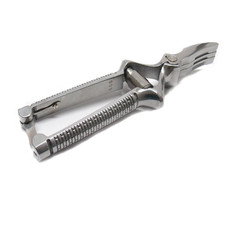 Masticatore delfiero - delfiero, in