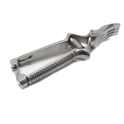 Masticatore delfiero - masticatore,