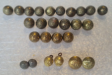 26 Victorian Royal Horse