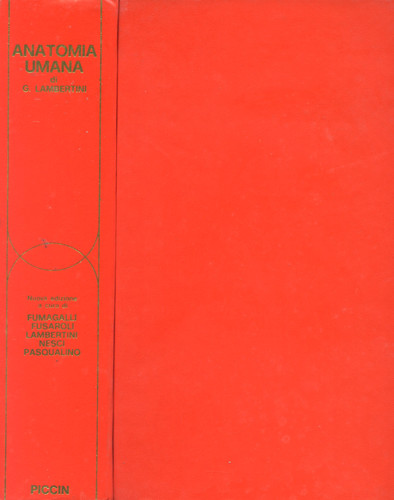 Anatomia umana g - anatomia, di