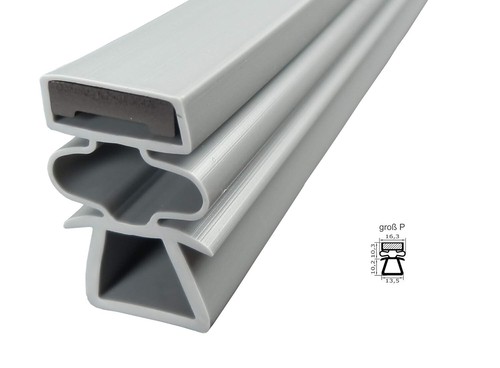 Guarnizione magnetica profilo
