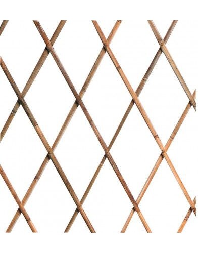 Gdlc traliccio bamboo - gdlc,