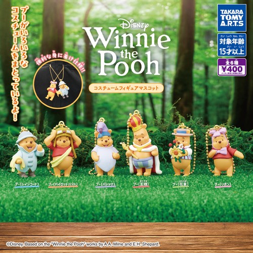 Winnie the pooh costume - costume, figure