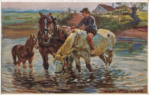 Cartolina artista cavalli - d'artista,