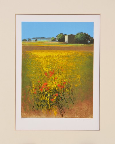 Cancogni agostino serigrafia - -,