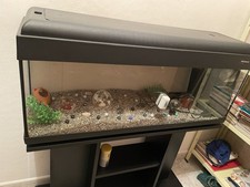 Acquario Pet Company + Mobiletto