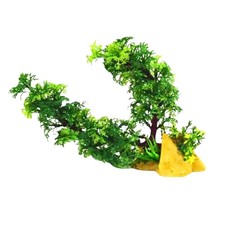 Albero Bonsai Acquario con