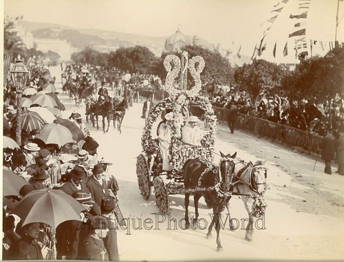 Fiore sfilata cavallo - cavallo, carrozza