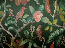 Coloniale Uccelli Smeraldo