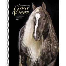 Gypsy Vanner Horse 2019