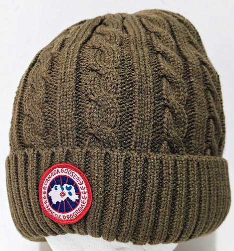 Canada goose adulto - canada,