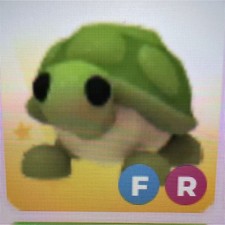 Adopt turtle virtual pet - me!,