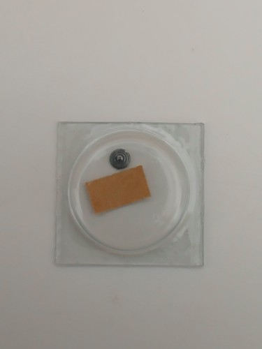 Rolex 1530 1570 7906 perno - rolex, 1530-1570-7906-perno