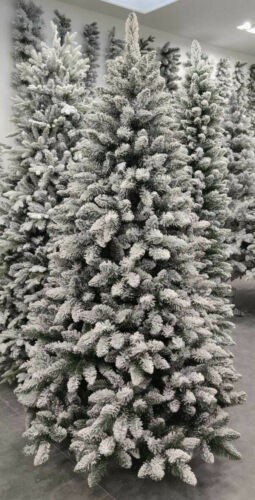 Albero natale courmayeur - albero,