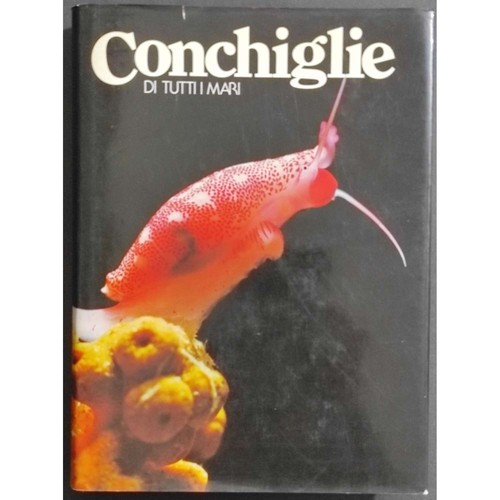 Conchiglie tutti mari - di,