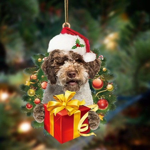 Lagotto romagnolo cane - romagnolo,