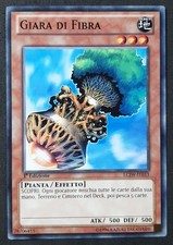 GIARA DI FIBRA  in Italiano