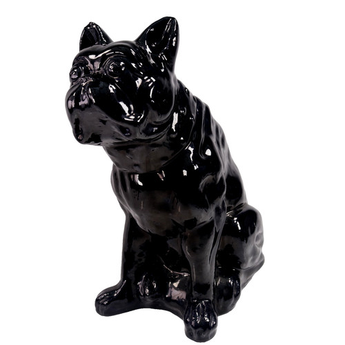 Antico bulldog francese - bulldog,