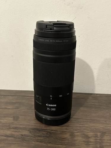 Canon 300 4 5 6 - rf, f/4-5.6