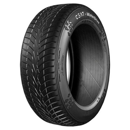 Pneumatici invernali ceat - pneumatici,