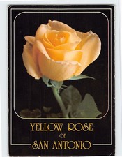 Cartolina Rosa Gialla di San