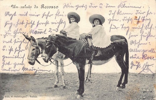 L414 italia 1905 bolzano - italia,