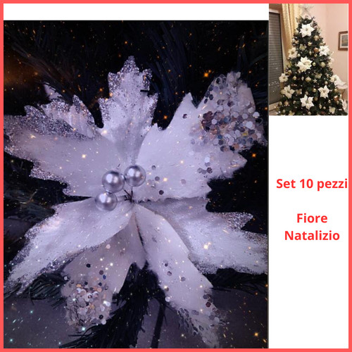 Set fiori natalizi - 10,