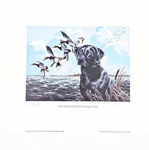 Stampa timbro kentucky duck - kentucky,