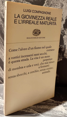 Giovinezza reale e - reale,