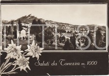 SALUTI DA TONEZZA m. 1000 - VEDUTINA E STELLE ALPINE (VICENZA)