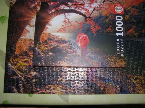 Puzzle 1000 pièces educa - pièces,