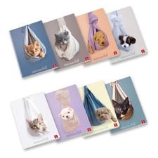 Pigna - CF10 CUCCIOLI A4 80GR