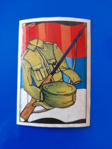 Figurina panini risorgimento - figurina,