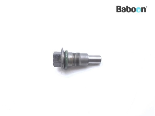 Tendicatena albero camme bmw - albero,