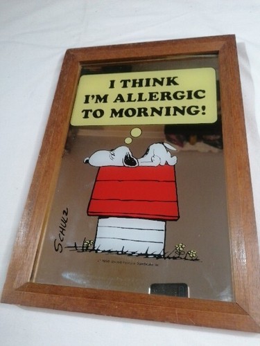 Quadro specchio snoopy - quadro, a