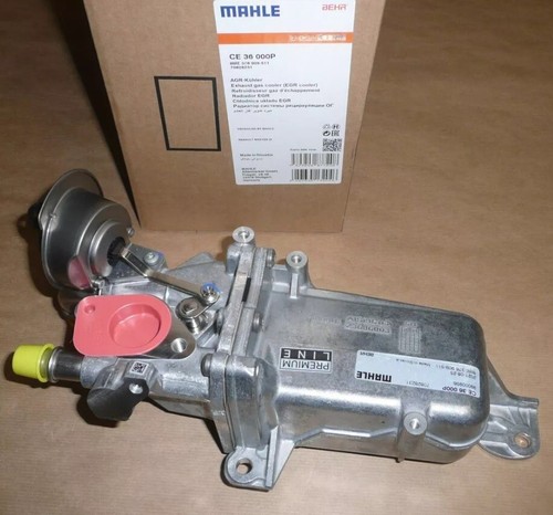 Vanne egr mahle - nissan, nv400