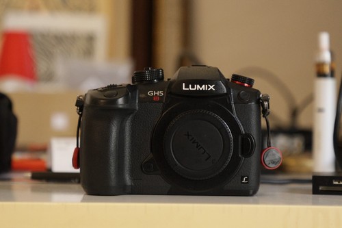 Panasonic gh5s battery - panasonic, grip