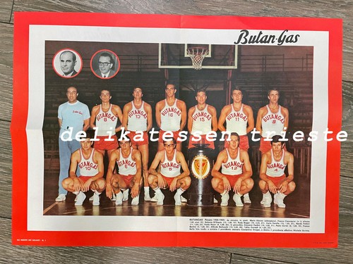 Giganti basket pallacanestro - giganti,